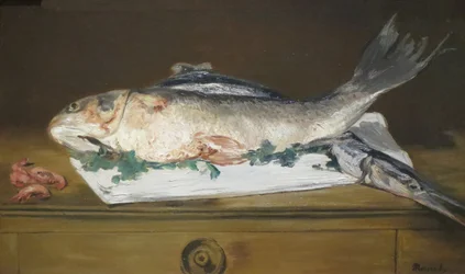 Nature morte, saumon, brochet et crevettes